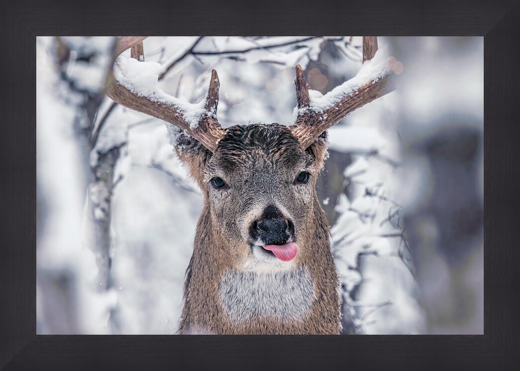 Impression de cadre personnalisé