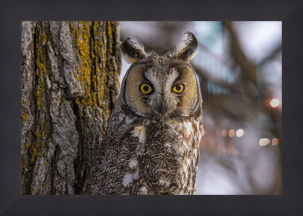 Impression de cadre personnalisé