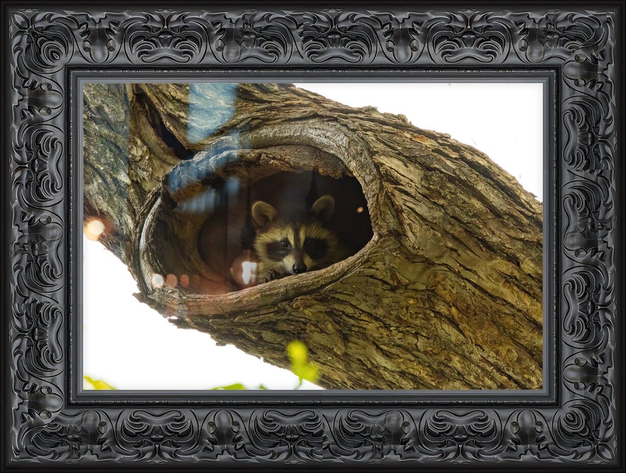 Impression de cadre personnalisé