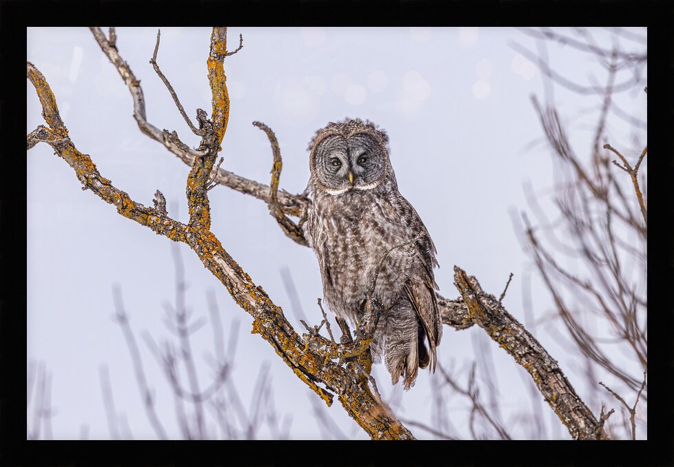 Impression de cadre personnalisé