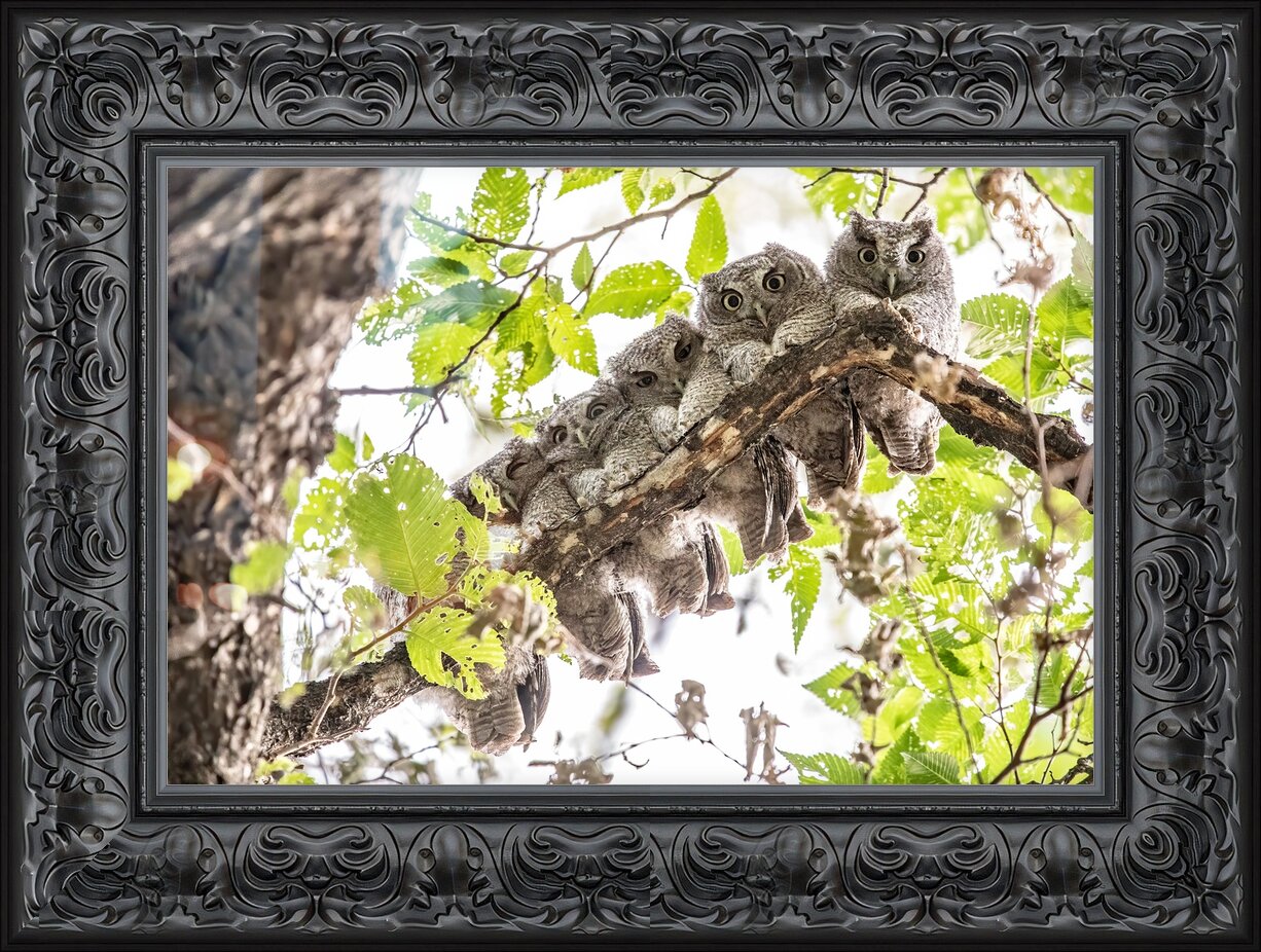 Impression de cadre personnalisé