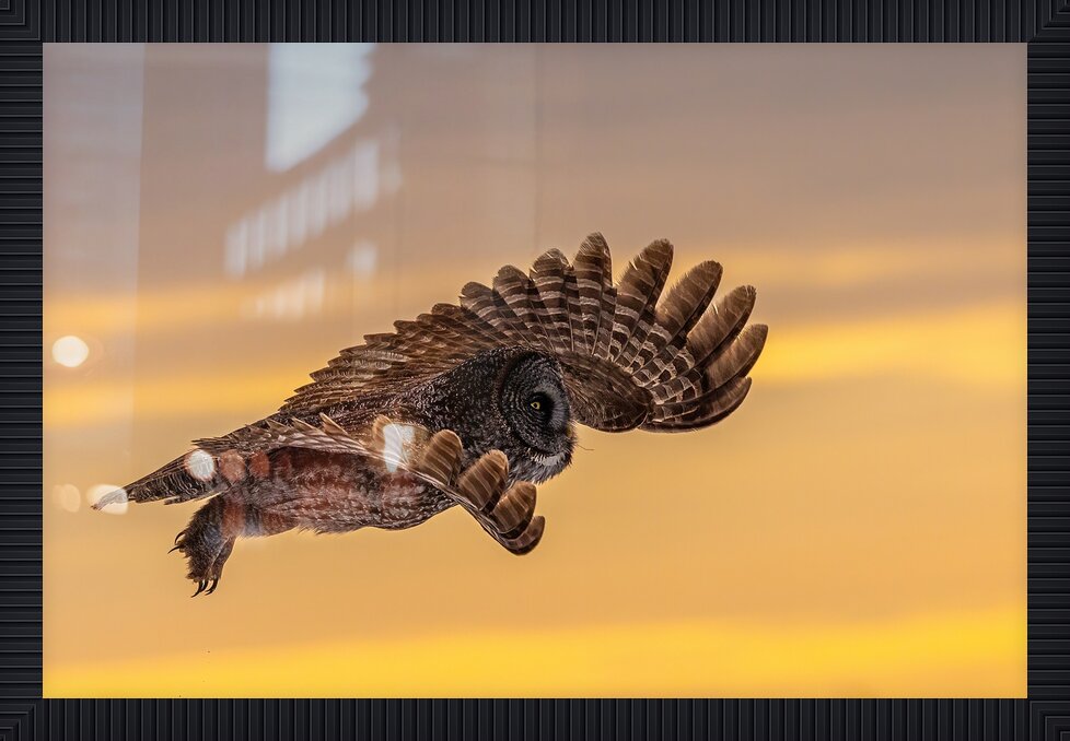 Impression de cadre personnalisé