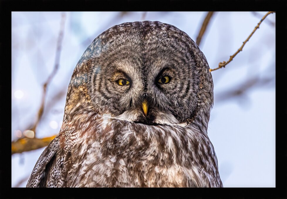 Impression de cadre personnalisé