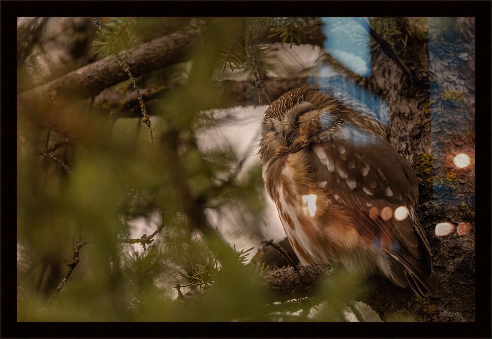 Impression de cadre personnalisé