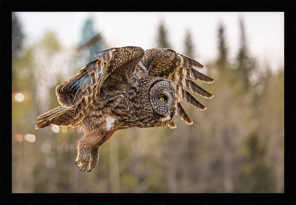 Impression de cadre personnalisé