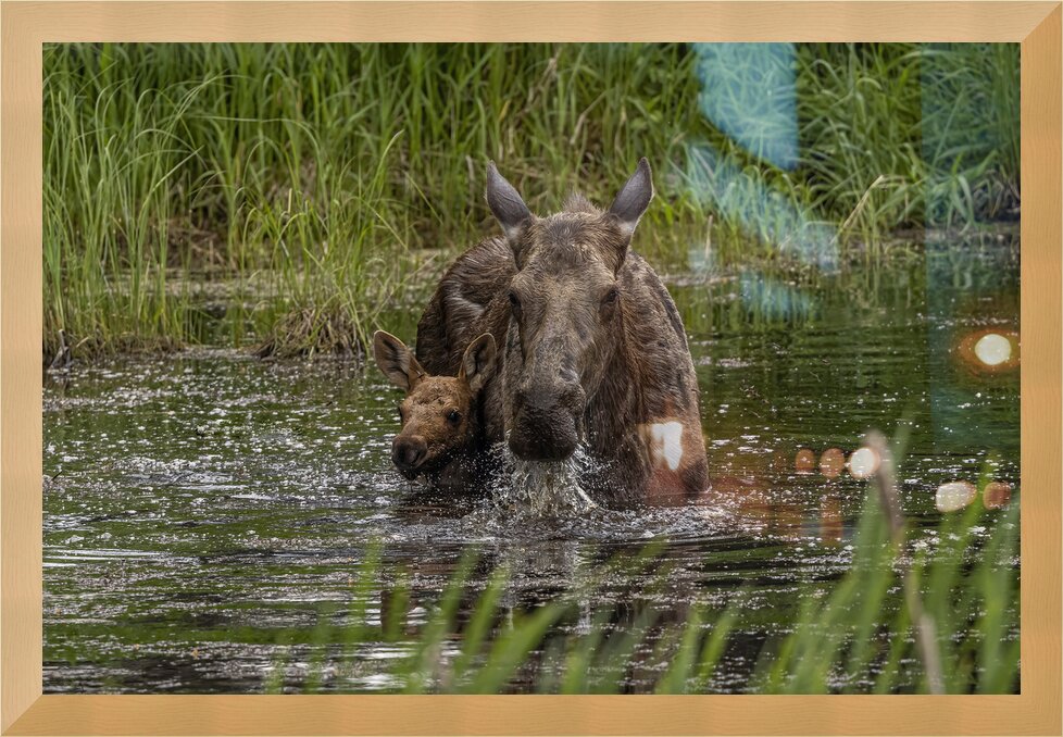Impression de cadre personnalisé