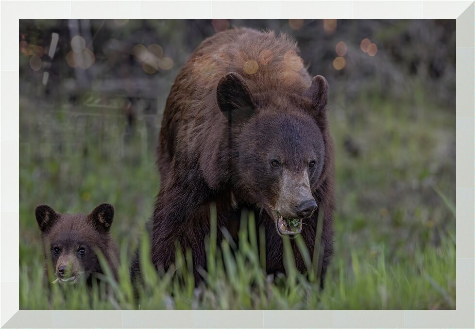 Impression de cadre personnalisé