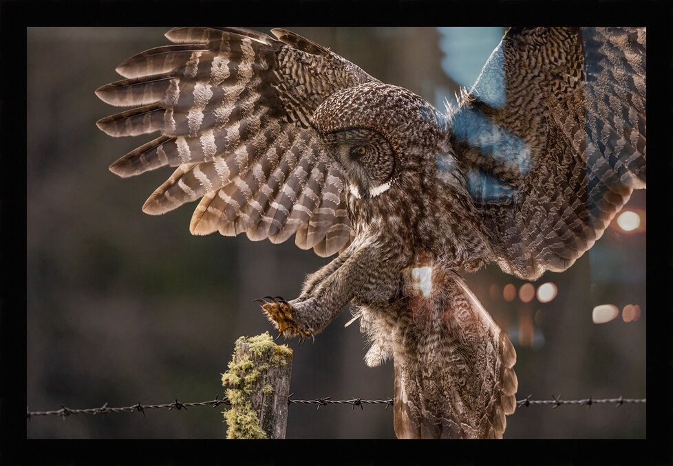 Impression de cadre personnalisé