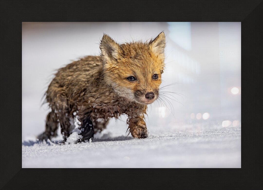 Impression de cadre personnalisé