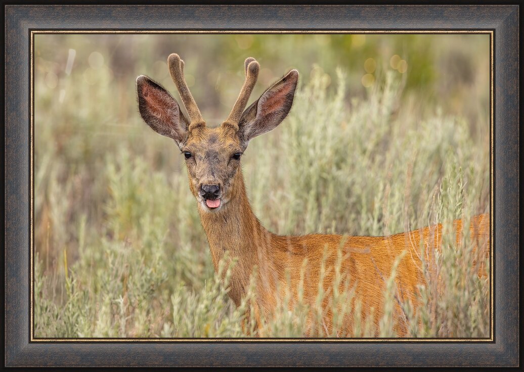 Impression de cadre personnalisé