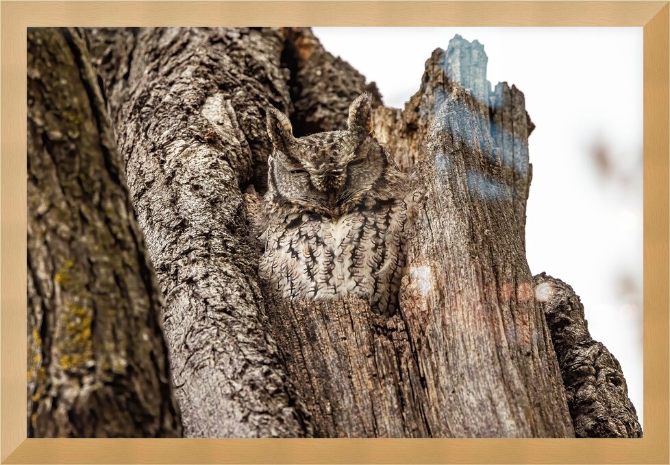 Impression de cadre personnalisé