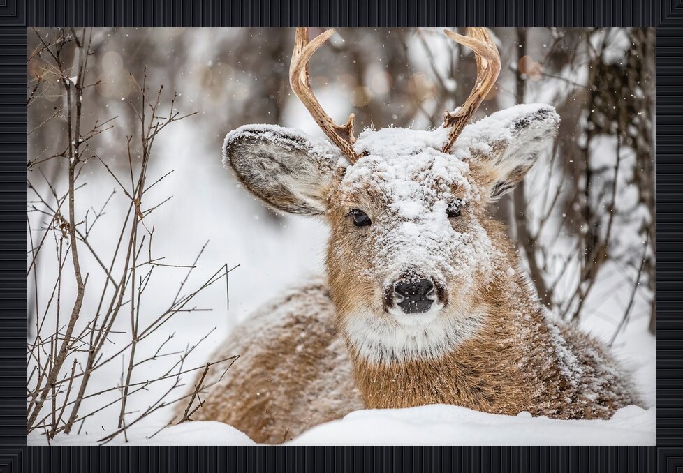 Impression de cadre personnalisé
