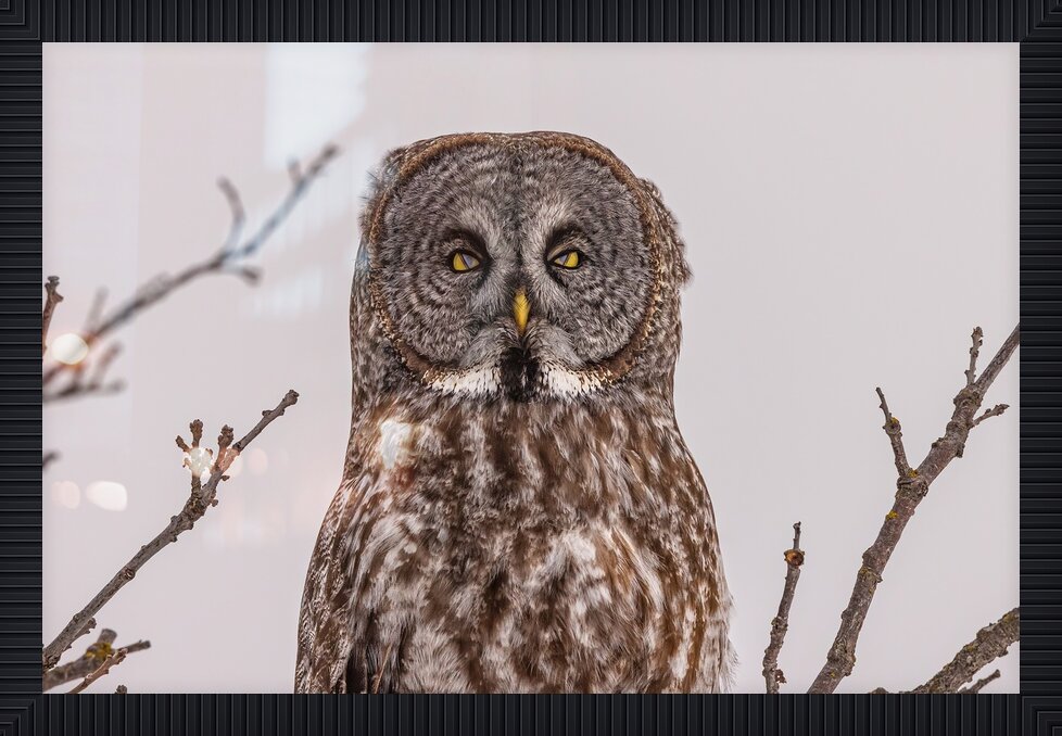 Impression de cadre personnalisé