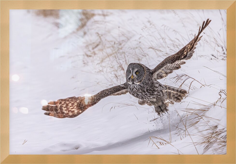 Impression de cadre personnalisé