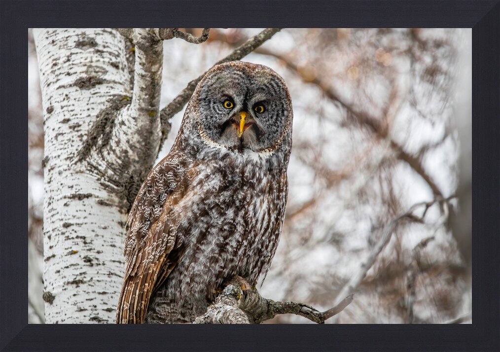 Impression de cadre personnalisé
