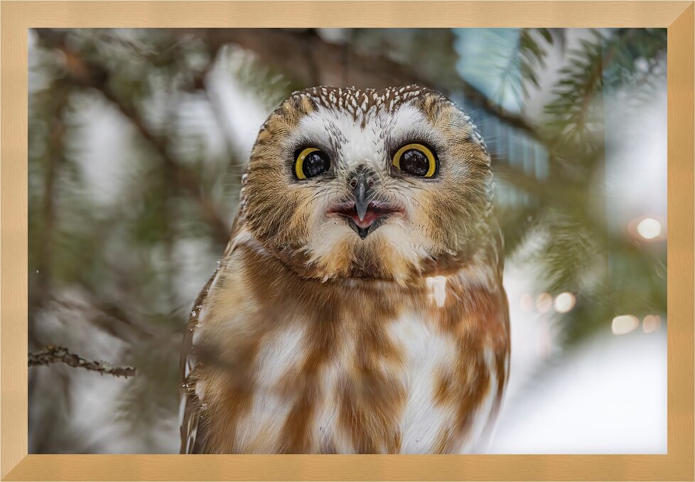 Impression de cadre personnalisé