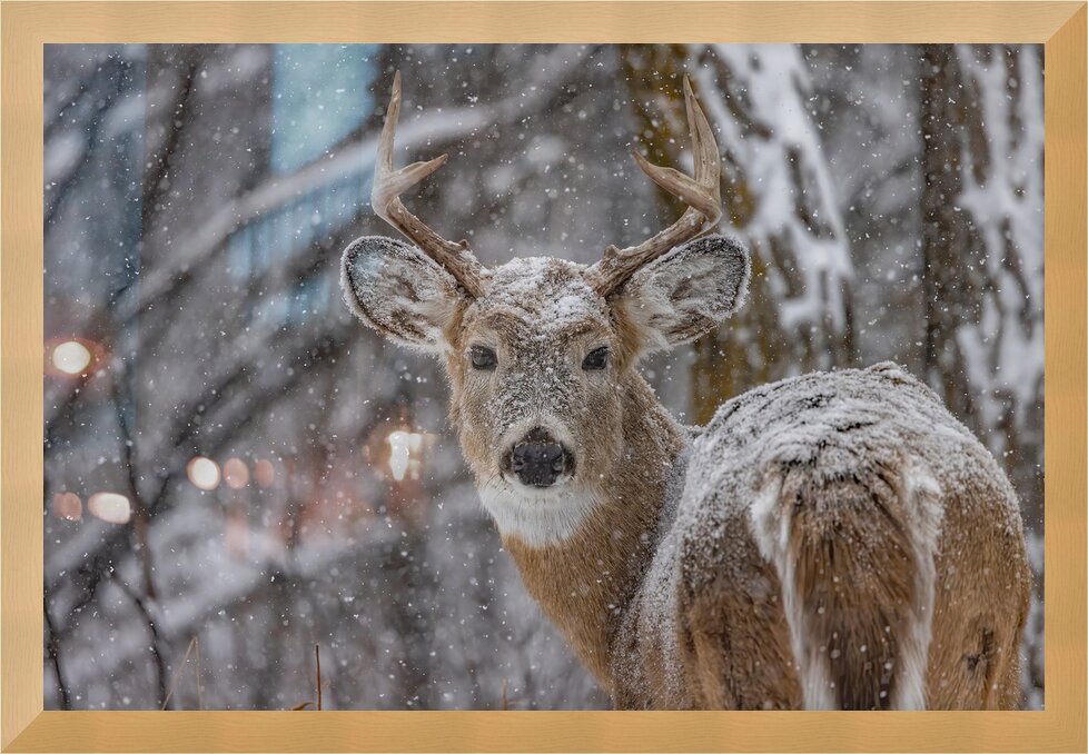 Impression de cadre personnalisé