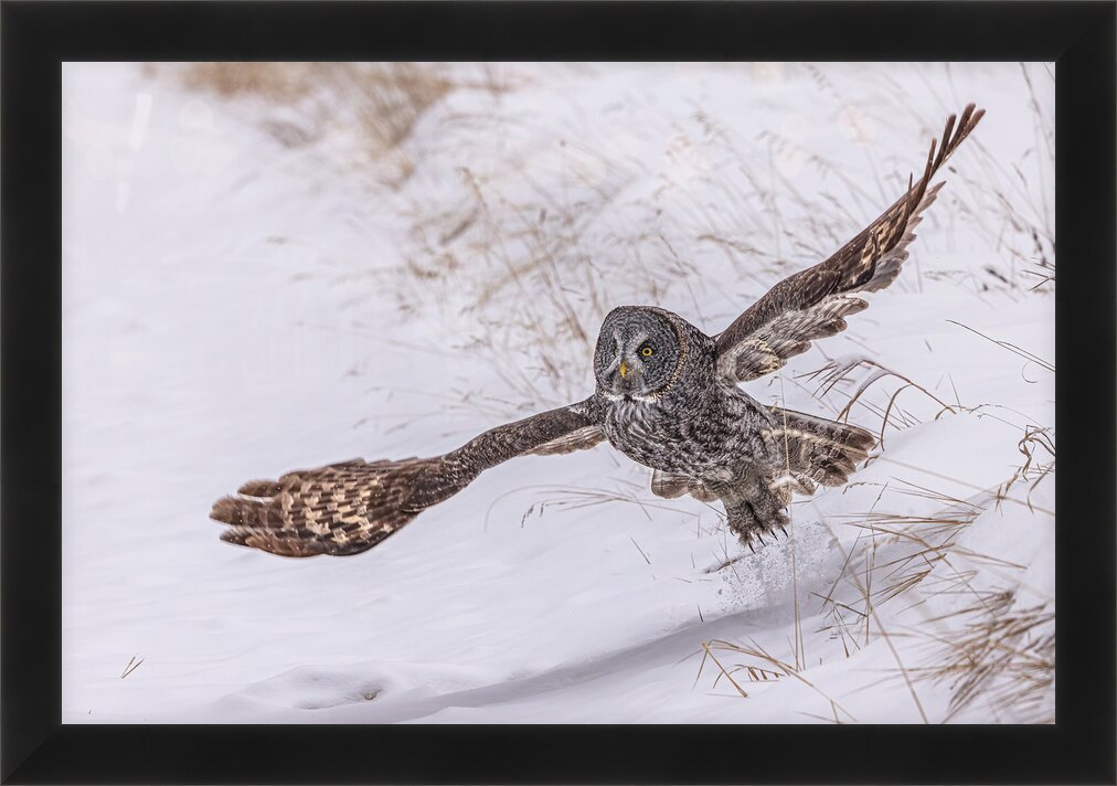 Impression de cadre personnalisé