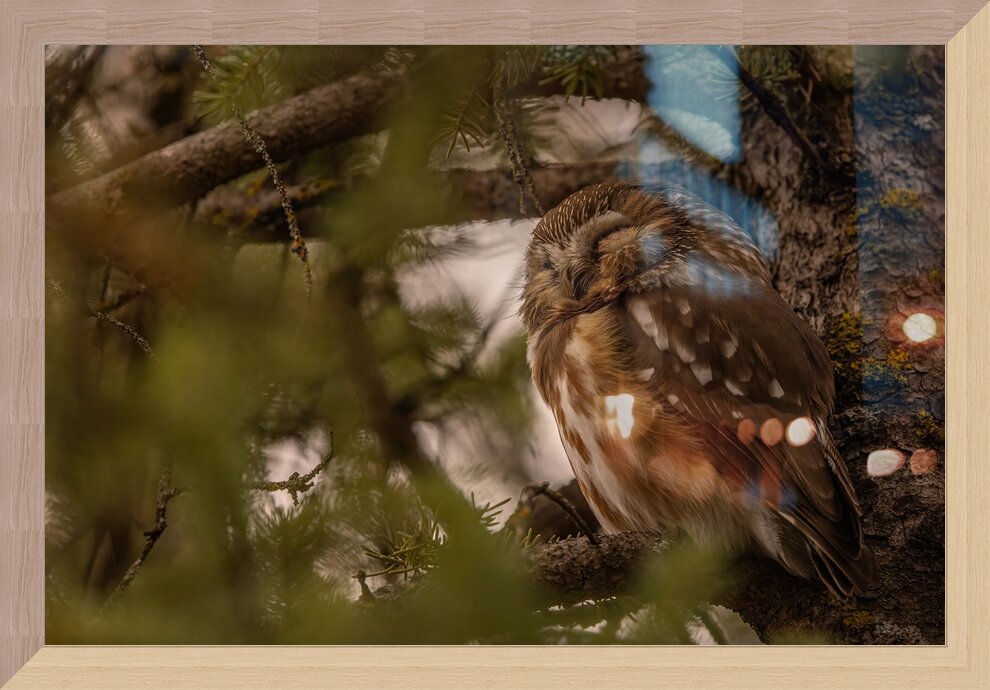 Impression de cadre personnalisé