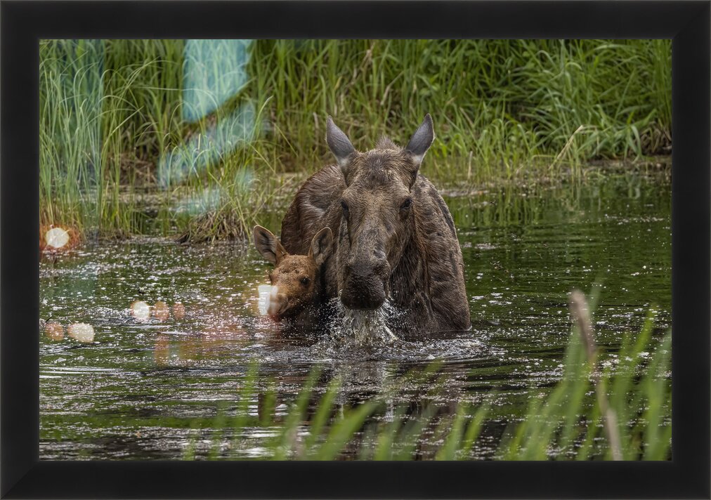 Impression de cadre personnalisé