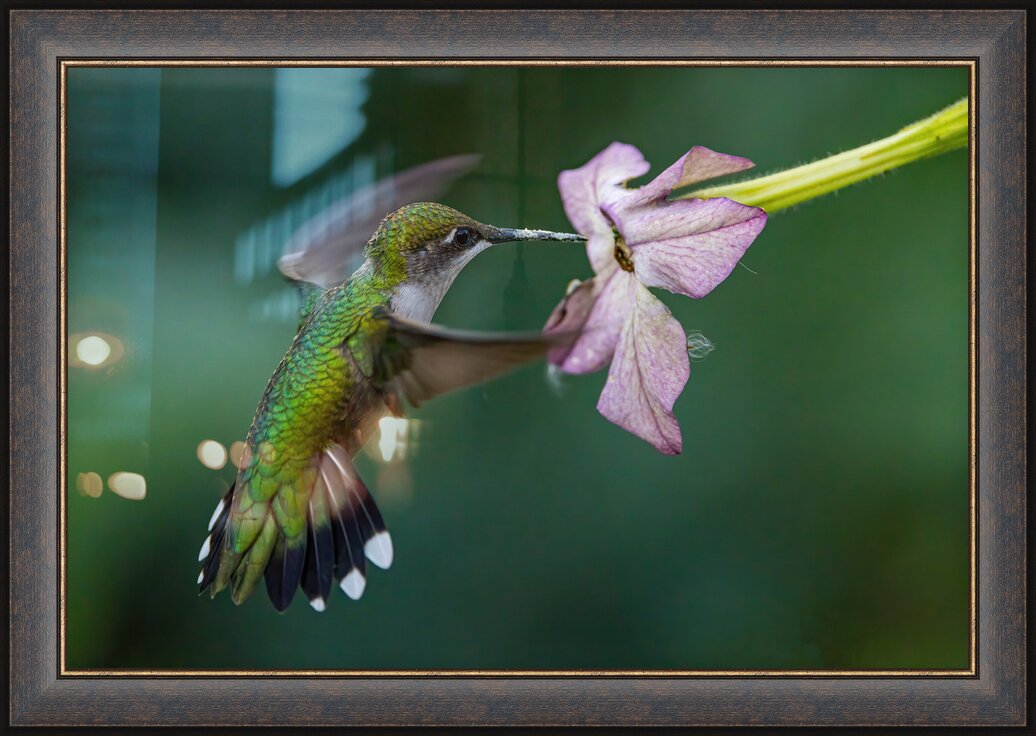 Impression de cadre personnalisé