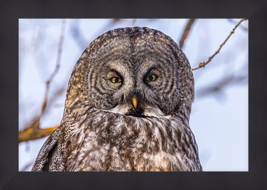 Impression de cadre personnalisé