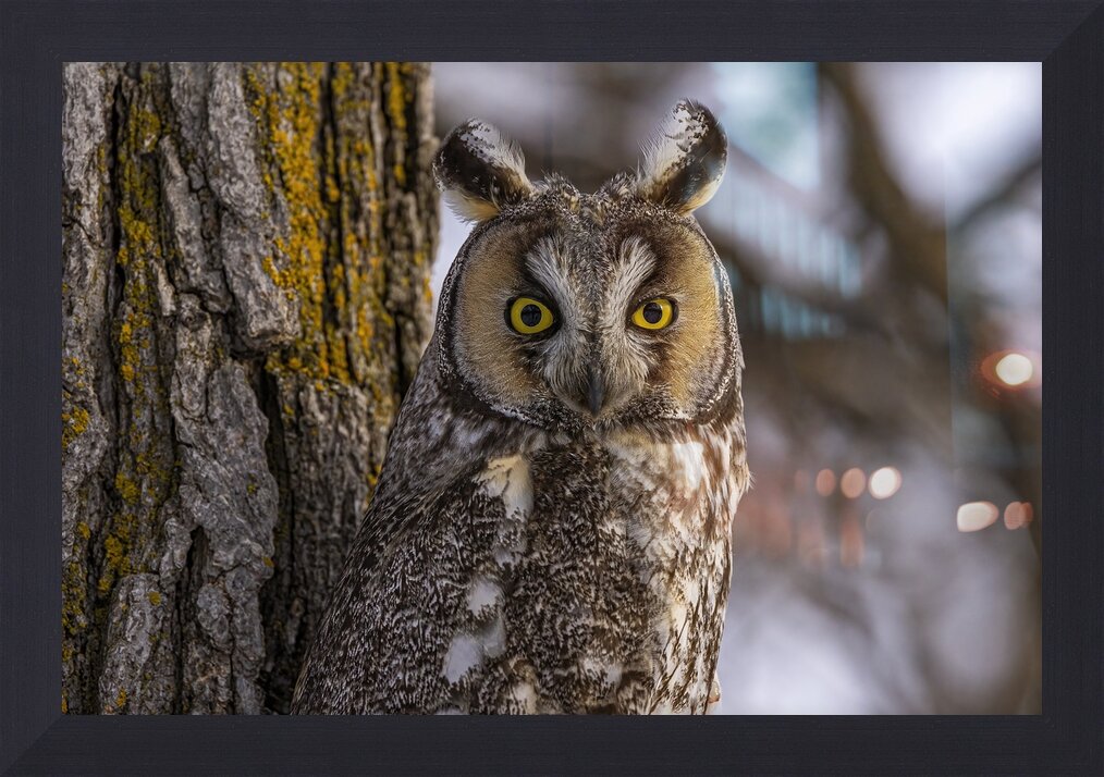 Impression de cadre personnalisé