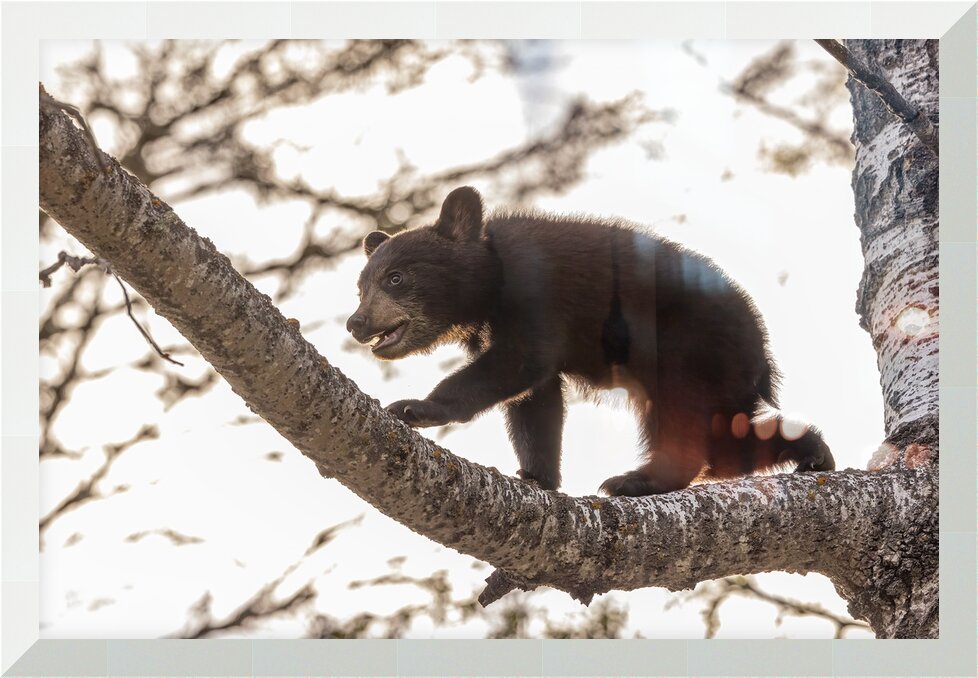 Impression de cadre personnalisé