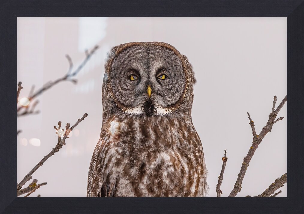 Impression de cadre personnalisé