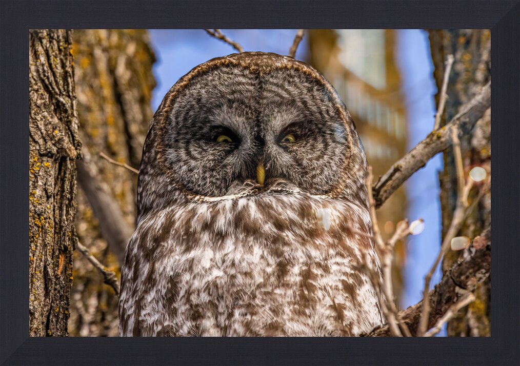 Impression de cadre personnalisé