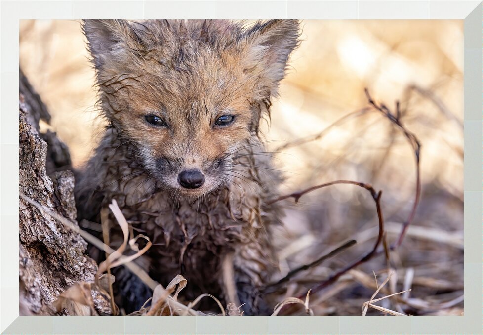 Impression de cadre personnalisé
