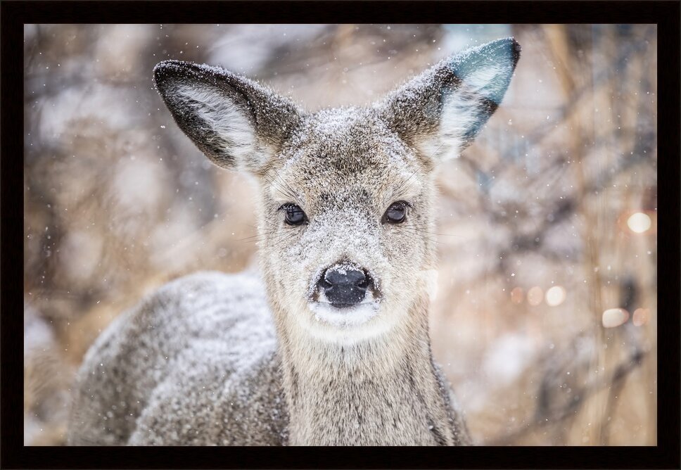 Impression de cadre personnalisé