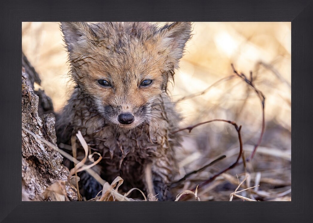 Impression de cadre personnalisé