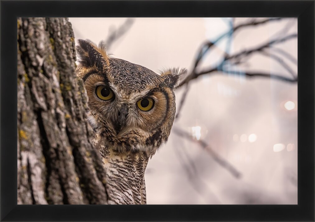 Impression de cadre personnalisé