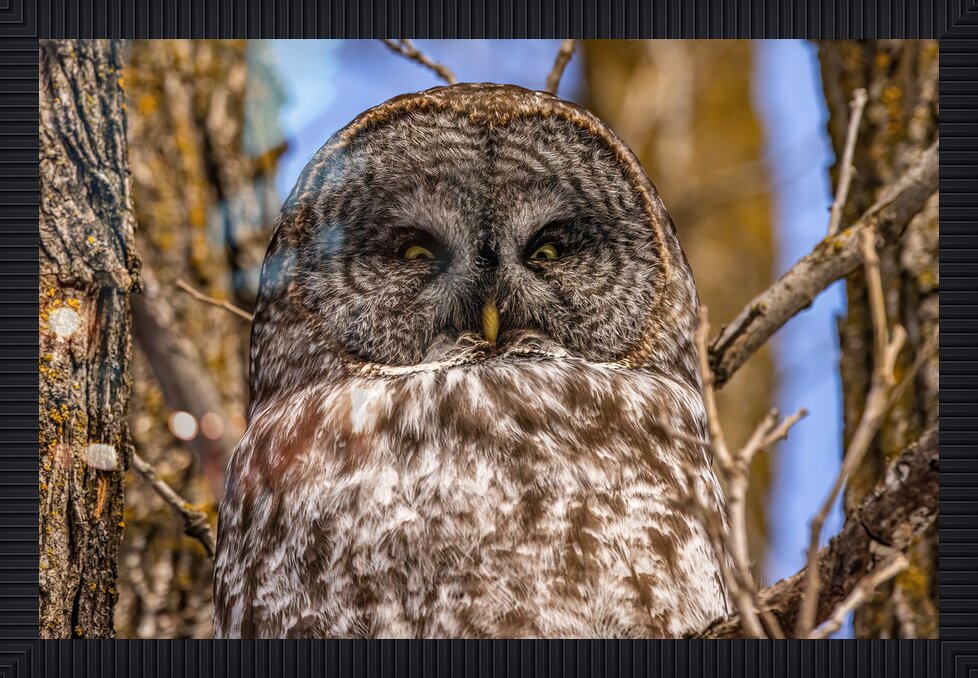 Impression de cadre personnalisé