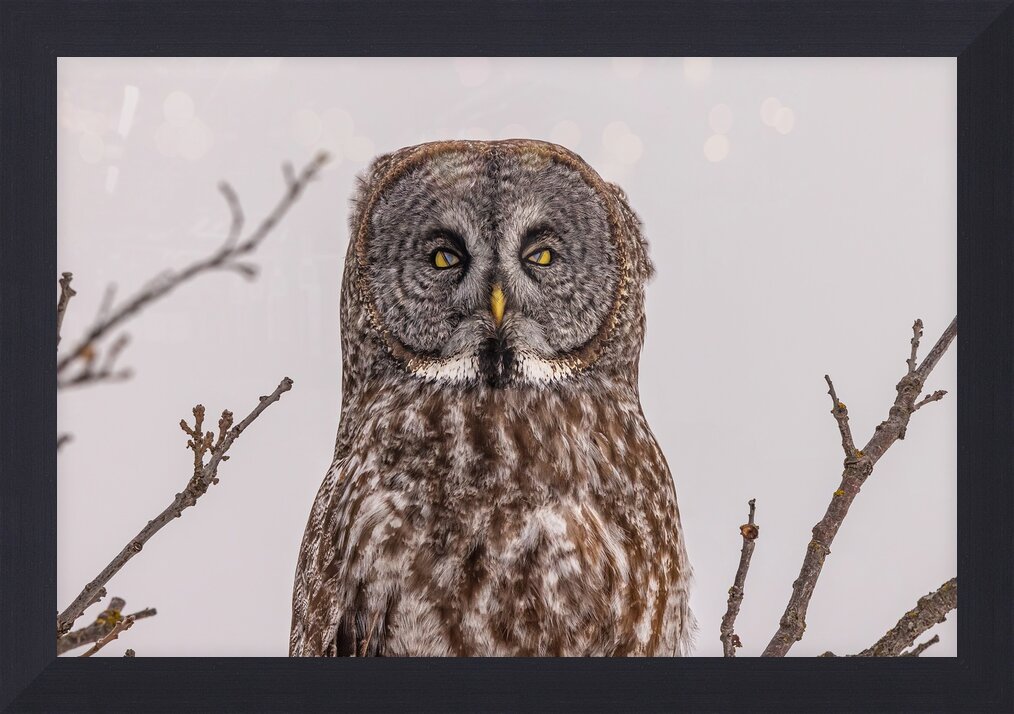 Impression de cadre personnalisé