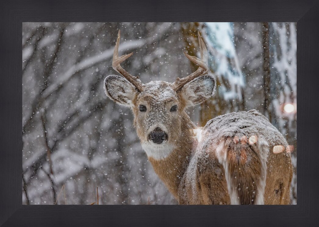 Impression de cadre personnalisé