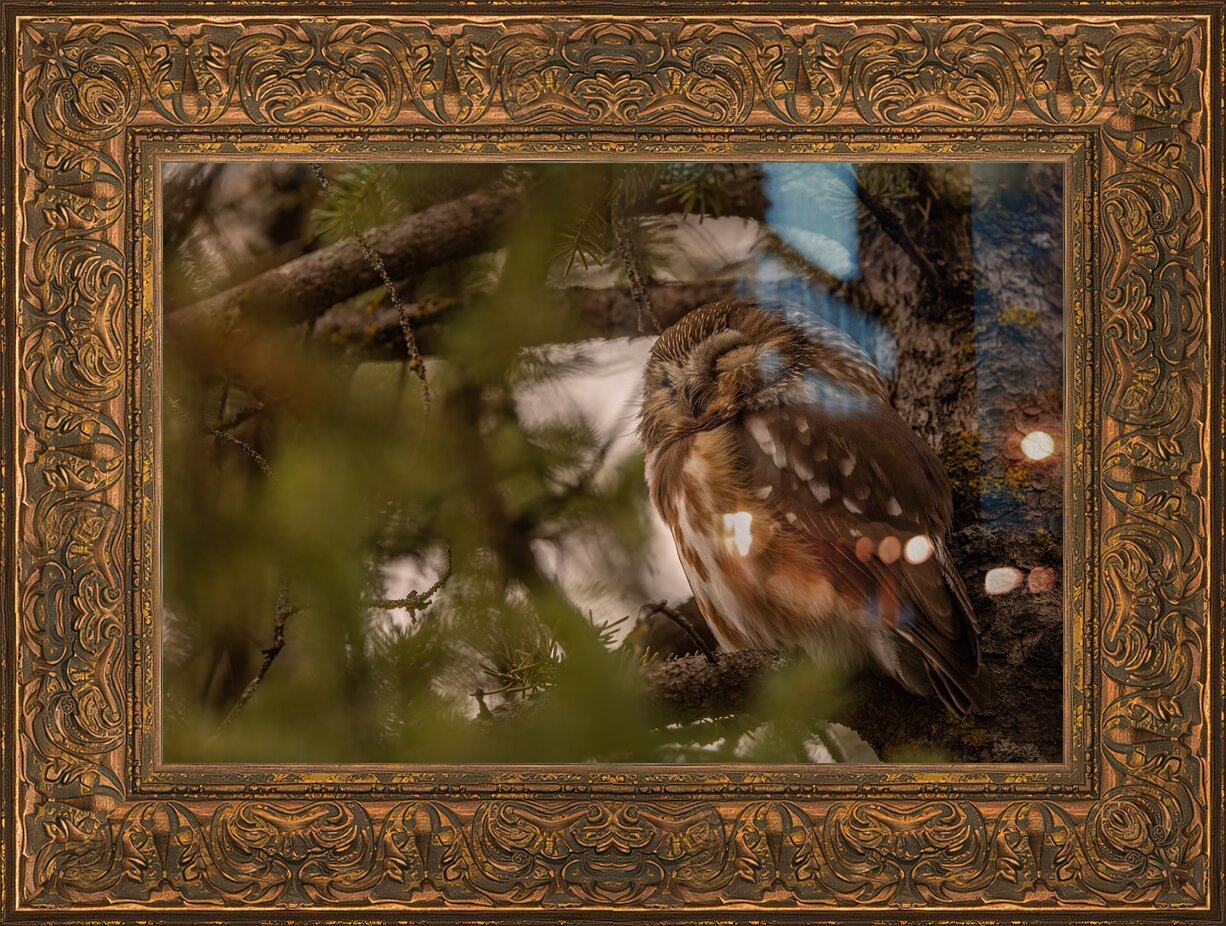 Impression de cadre personnalisé