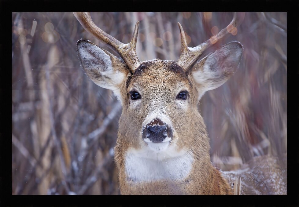 Impression de cadre personnalisé