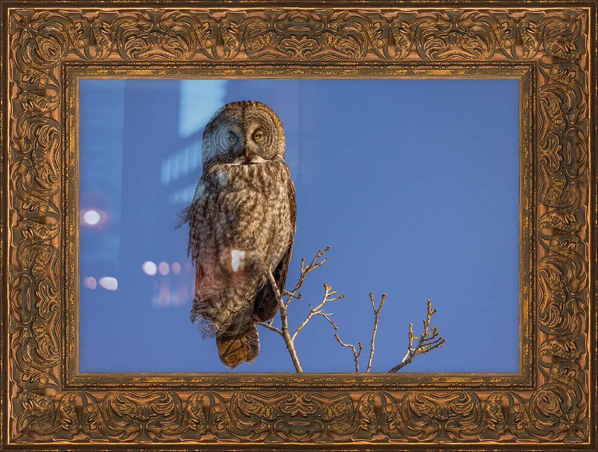 Impression de cadre personnalisé