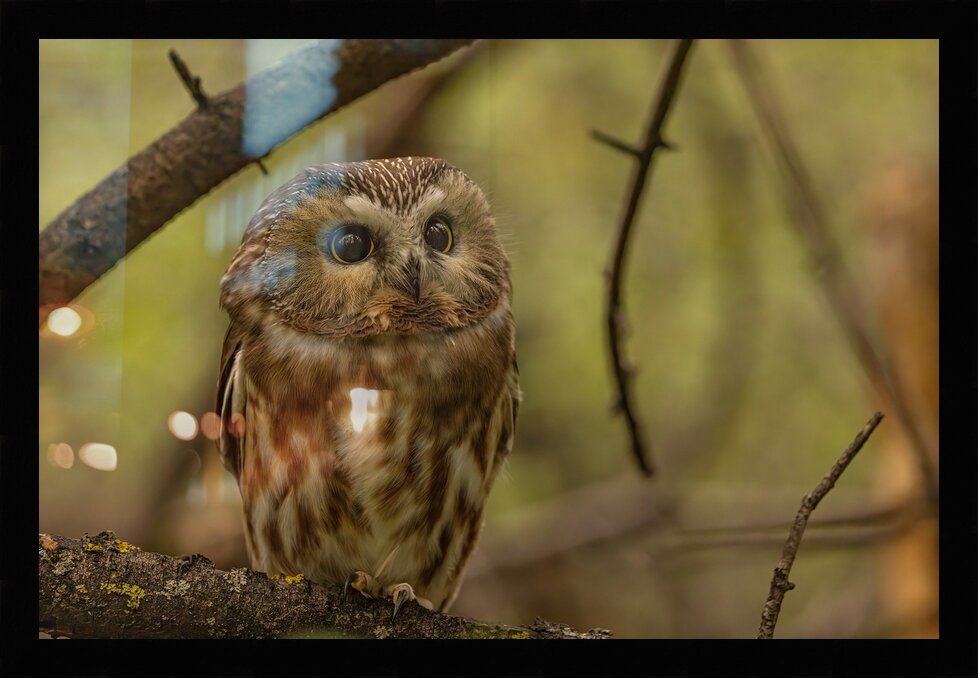 Impression de cadre personnalisé