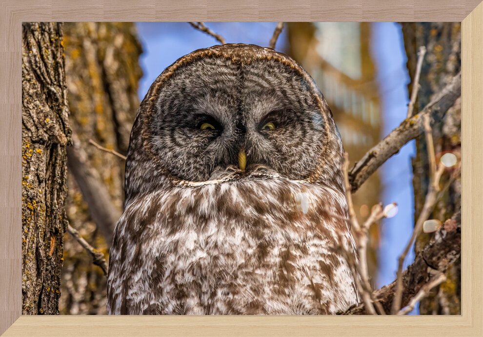 Impression de cadre personnalisé