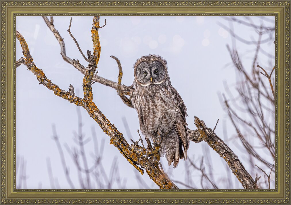 Impression de cadre personnalisé