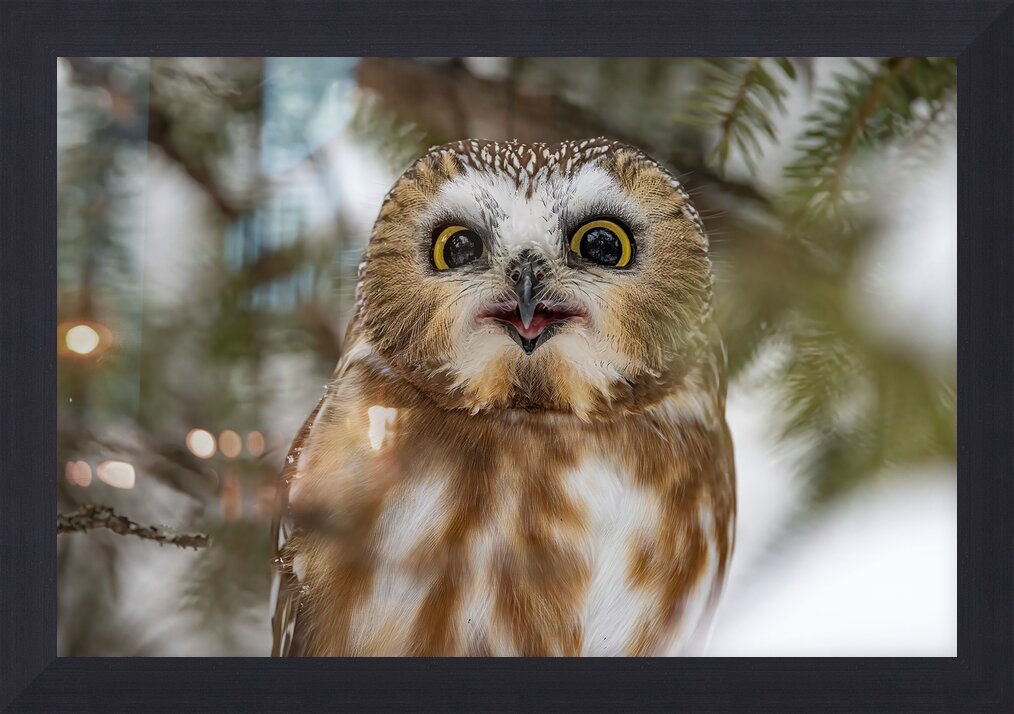 Impression de cadre personnalisé