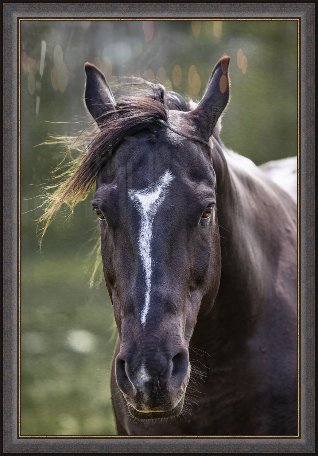 Impression de cadre personnalisé