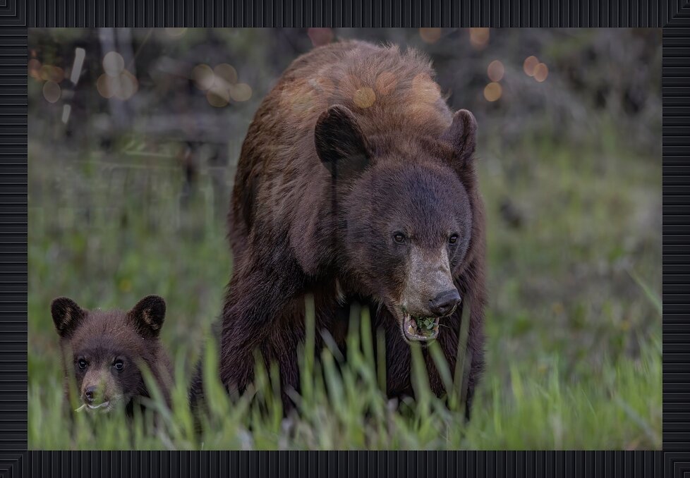 Impression de cadre personnalisé