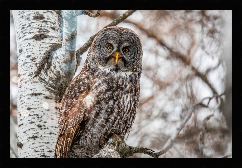 Impression de cadre personnalisé