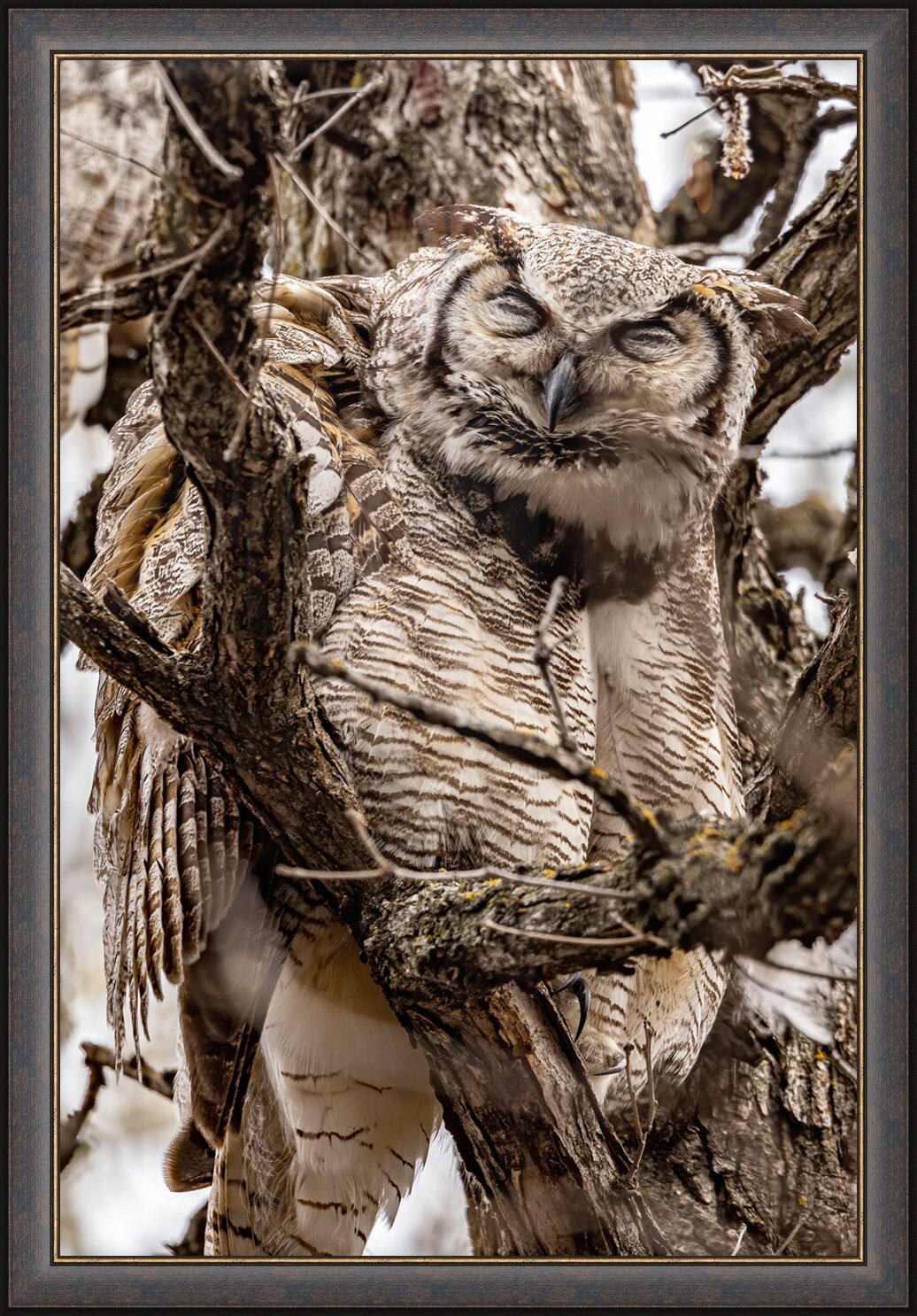 Impression de cadre personnalisé