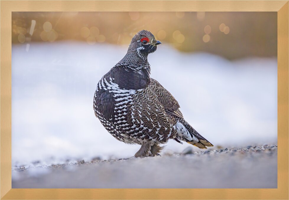 Impression de cadre personnalisé