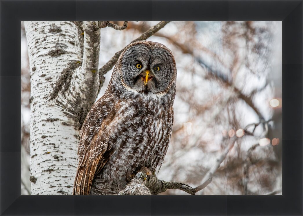 Impression de cadre personnalisé